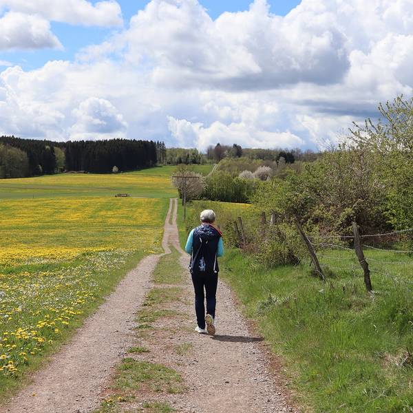 Wanderung Heideheimat Höhenweg