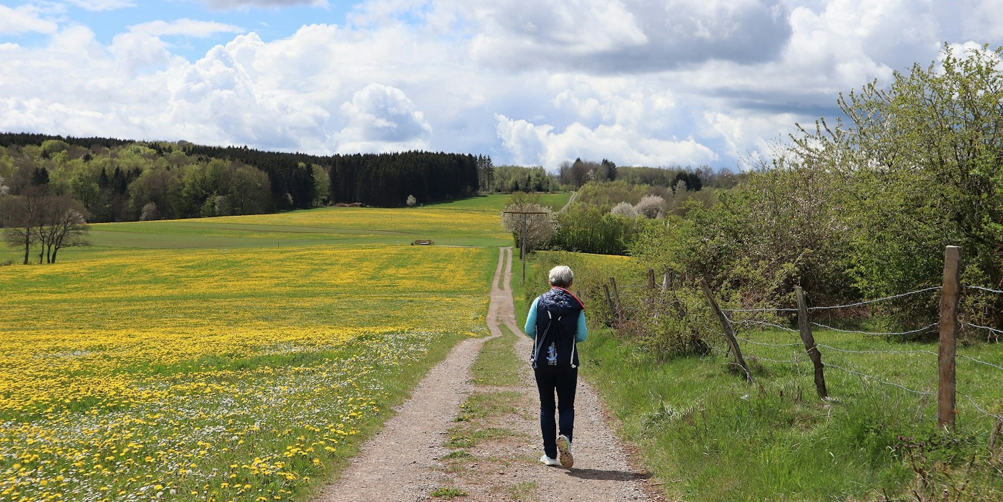Wanderung Heideheimat Höhenweg