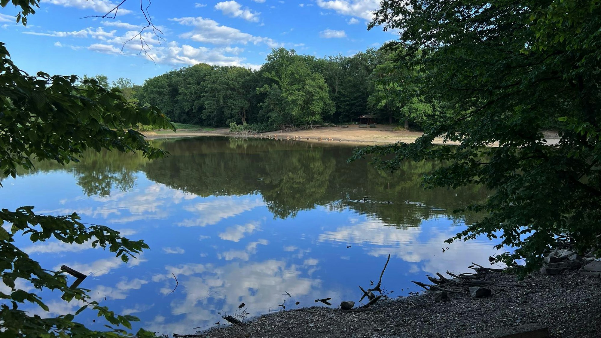 Blick auf einen Teich vom Ufer aus