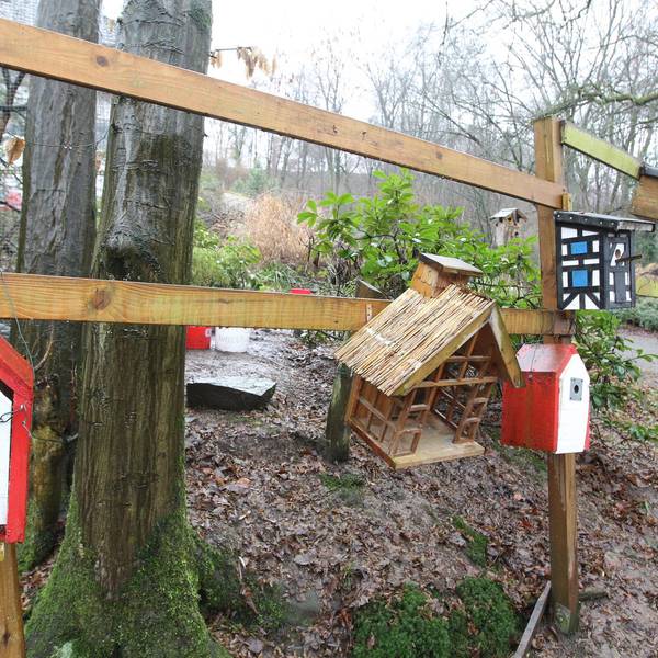 wildvogelstation1