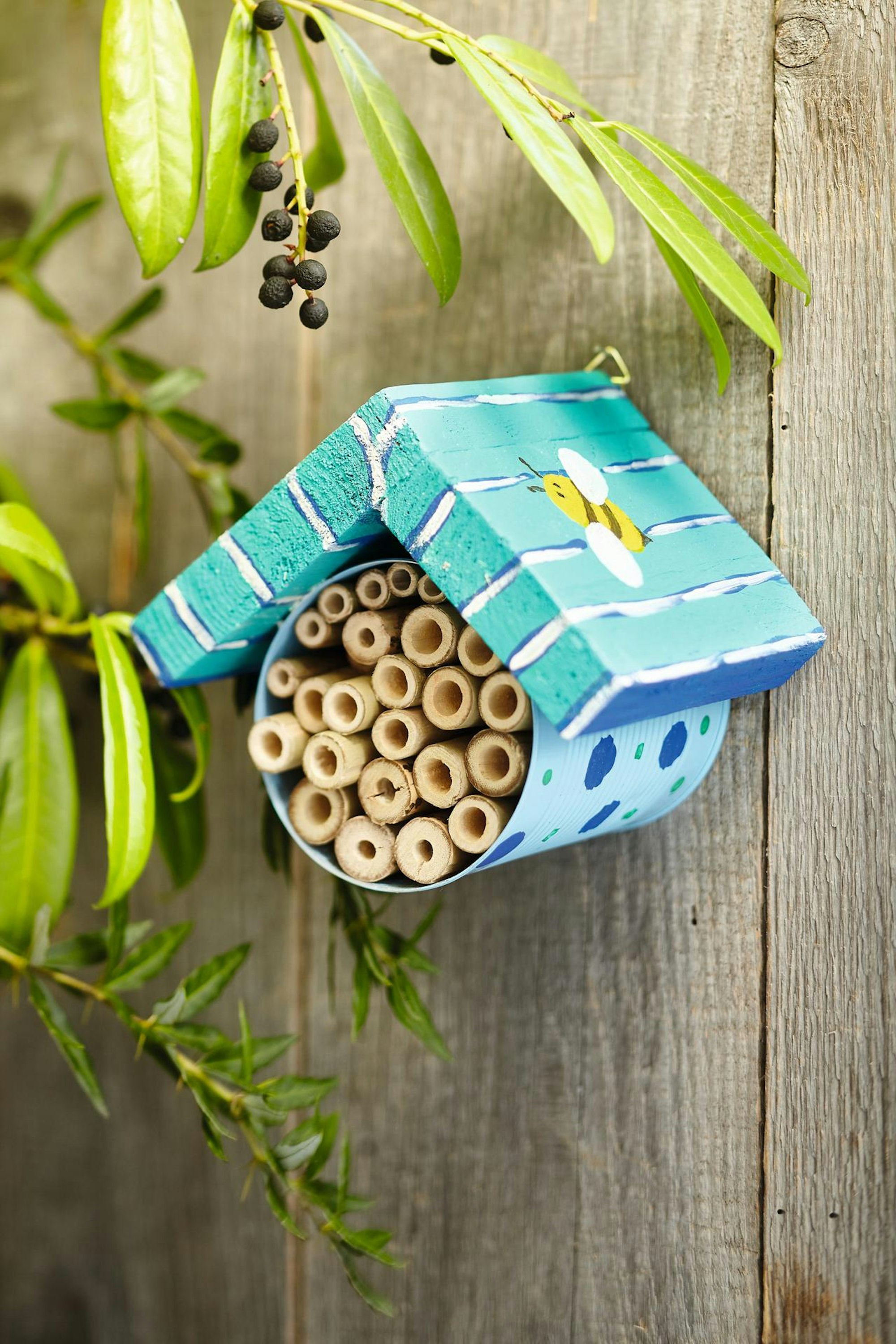 (c)frechverlag_TOPP 8423_Bild_S.23