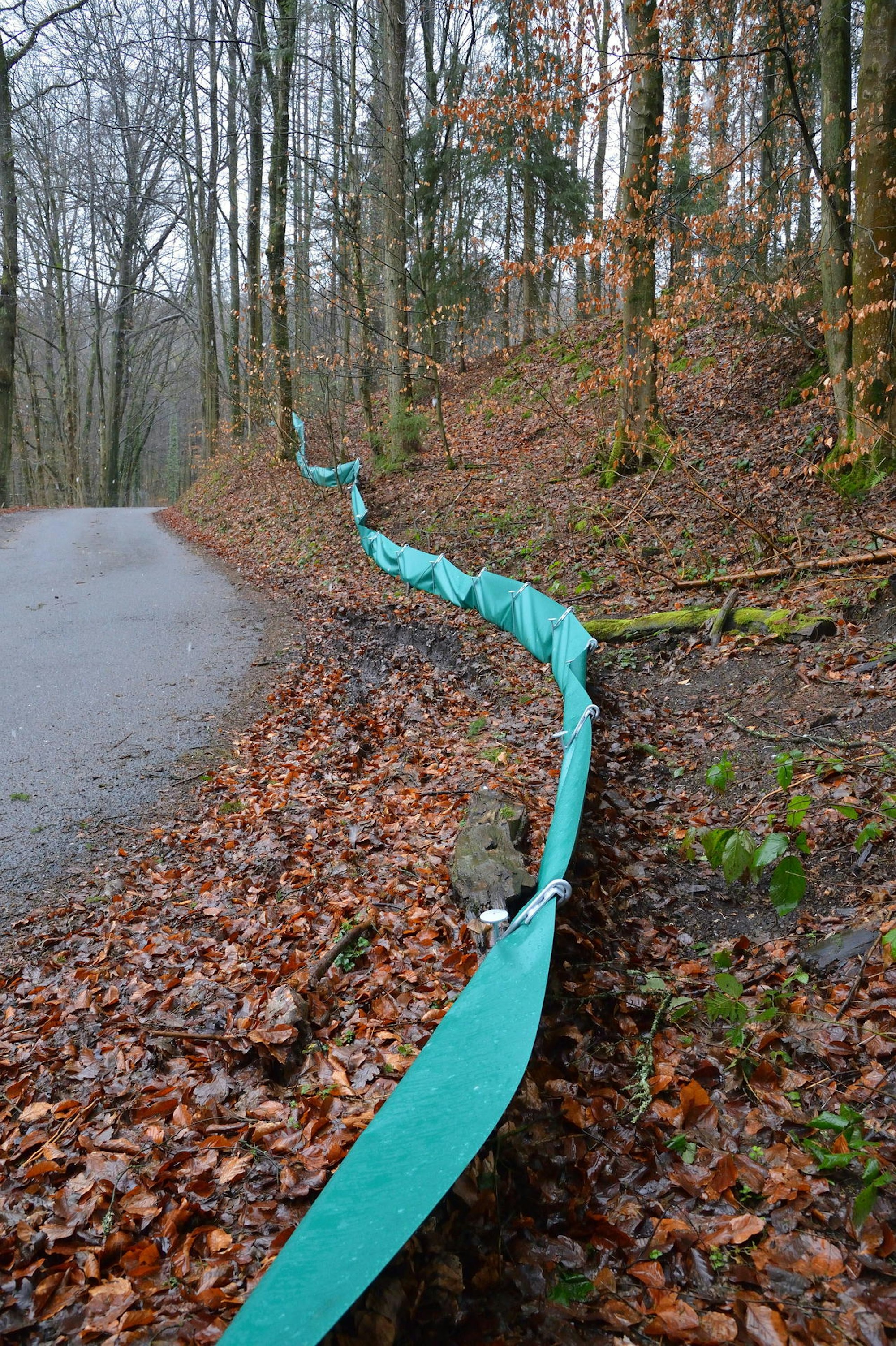 rb plus 2lurche 20220819