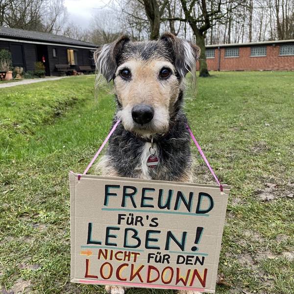 Tierheim