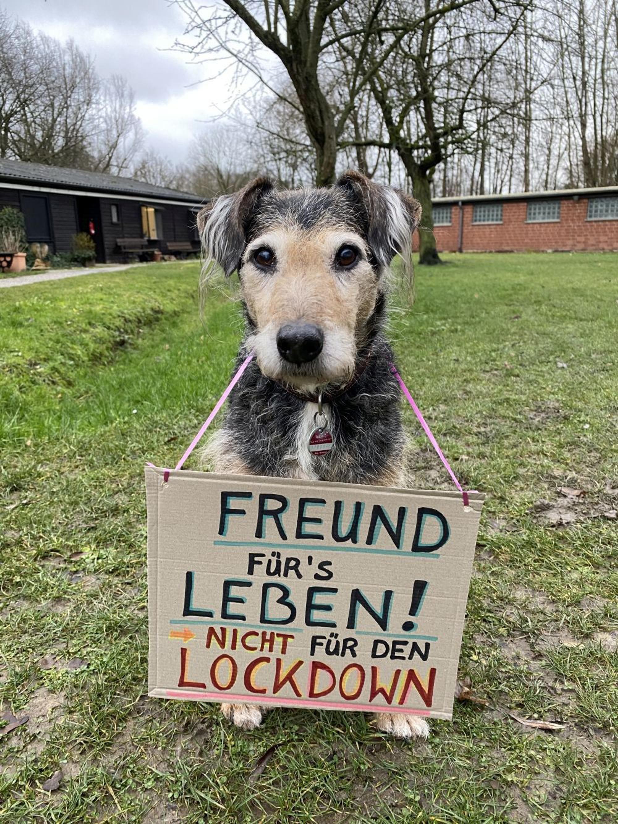 Tierheim