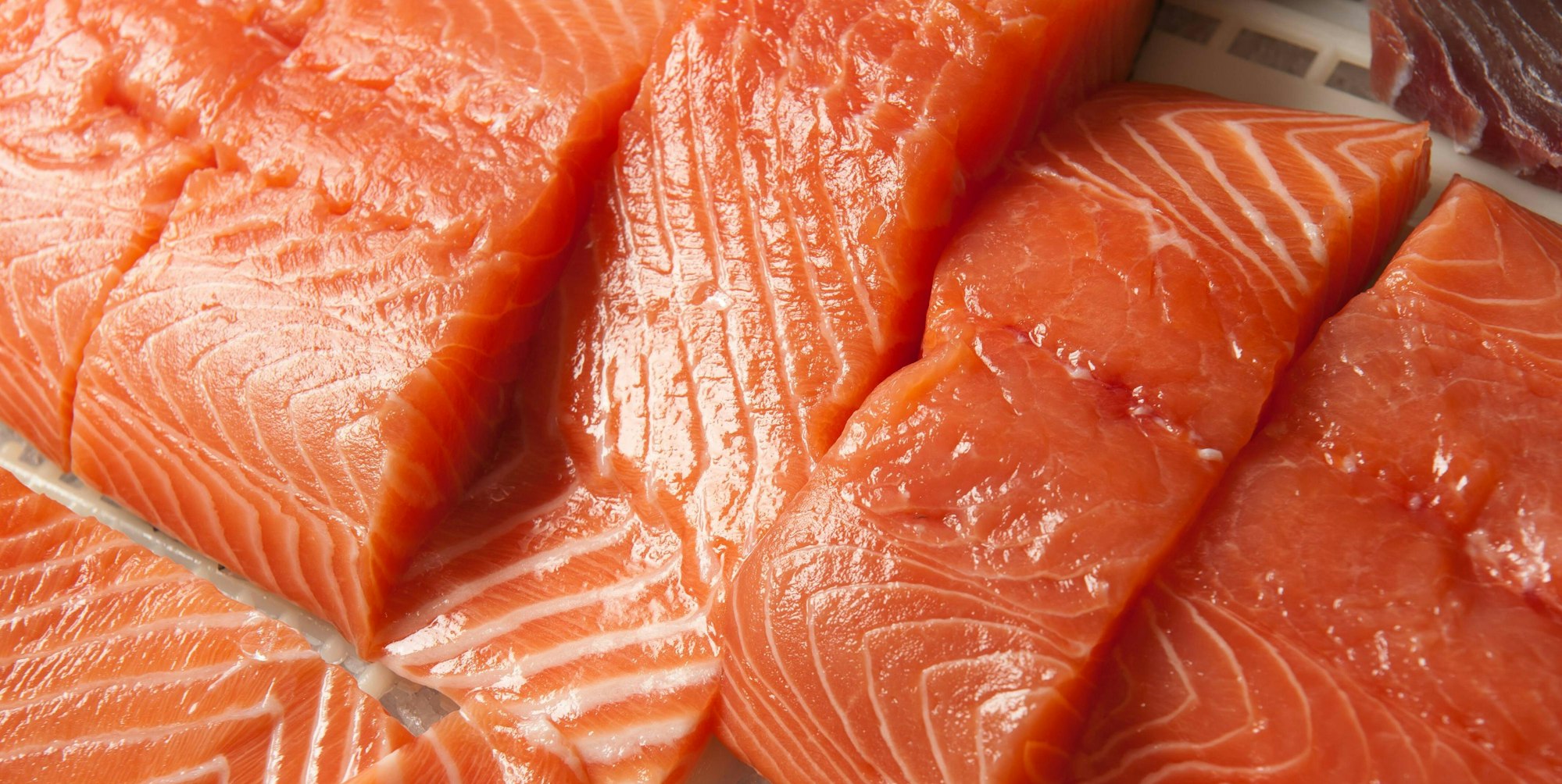 Zulachs_belastet_Tiefkühl