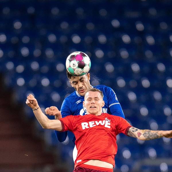 schalke gegen FC