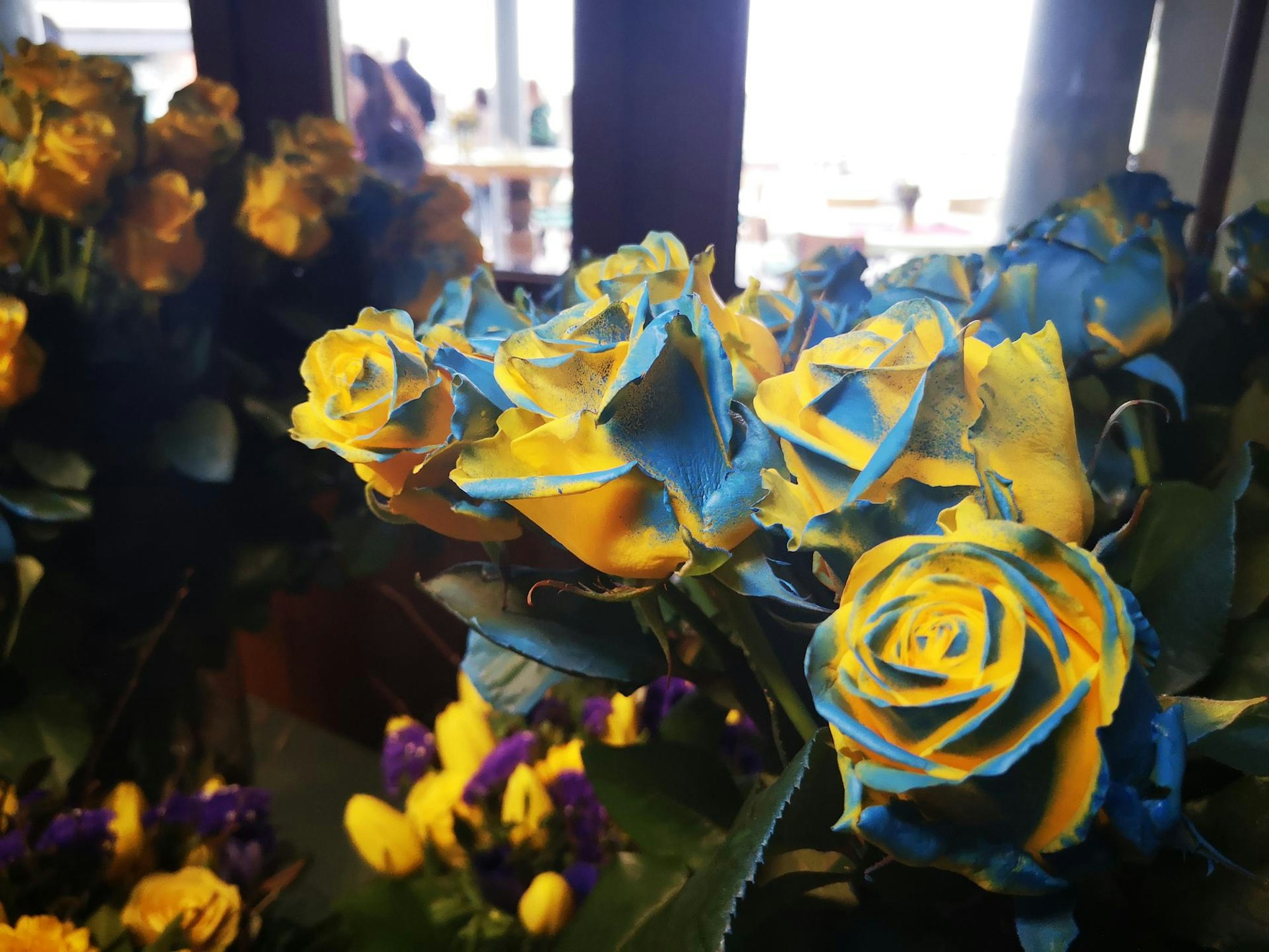 Hürth besuch-bm-peremyschljany-03