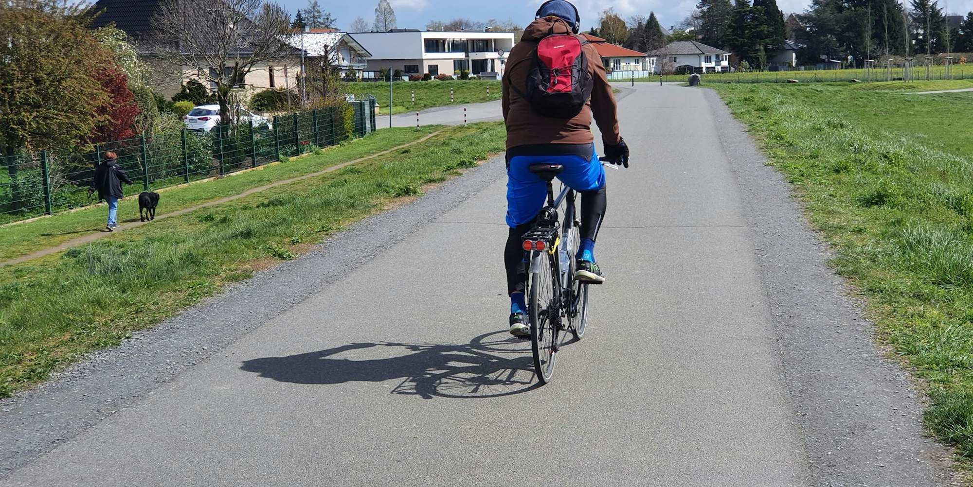 Rheindamm_Niederkassel