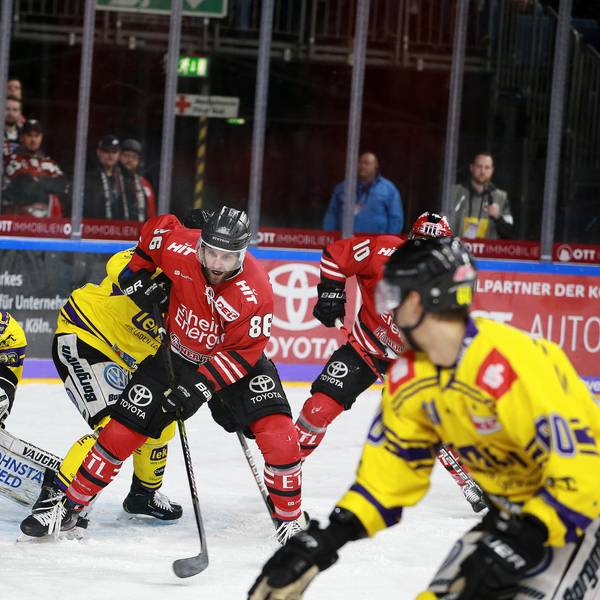 Haie Krefeld2
