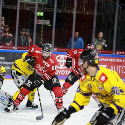 Haie Krefeld2