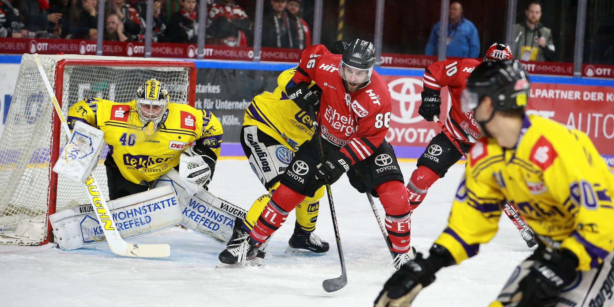 Haie Krefeld2