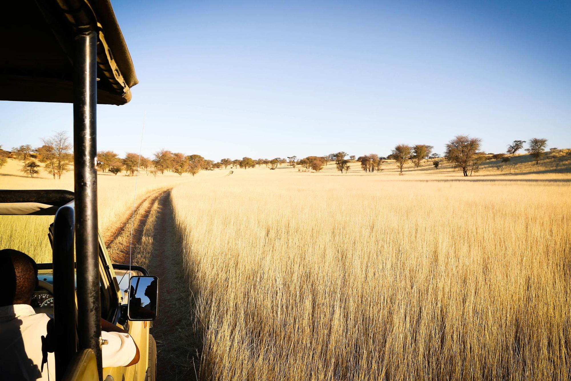 Safari Namibia Fernreise Corona dpa