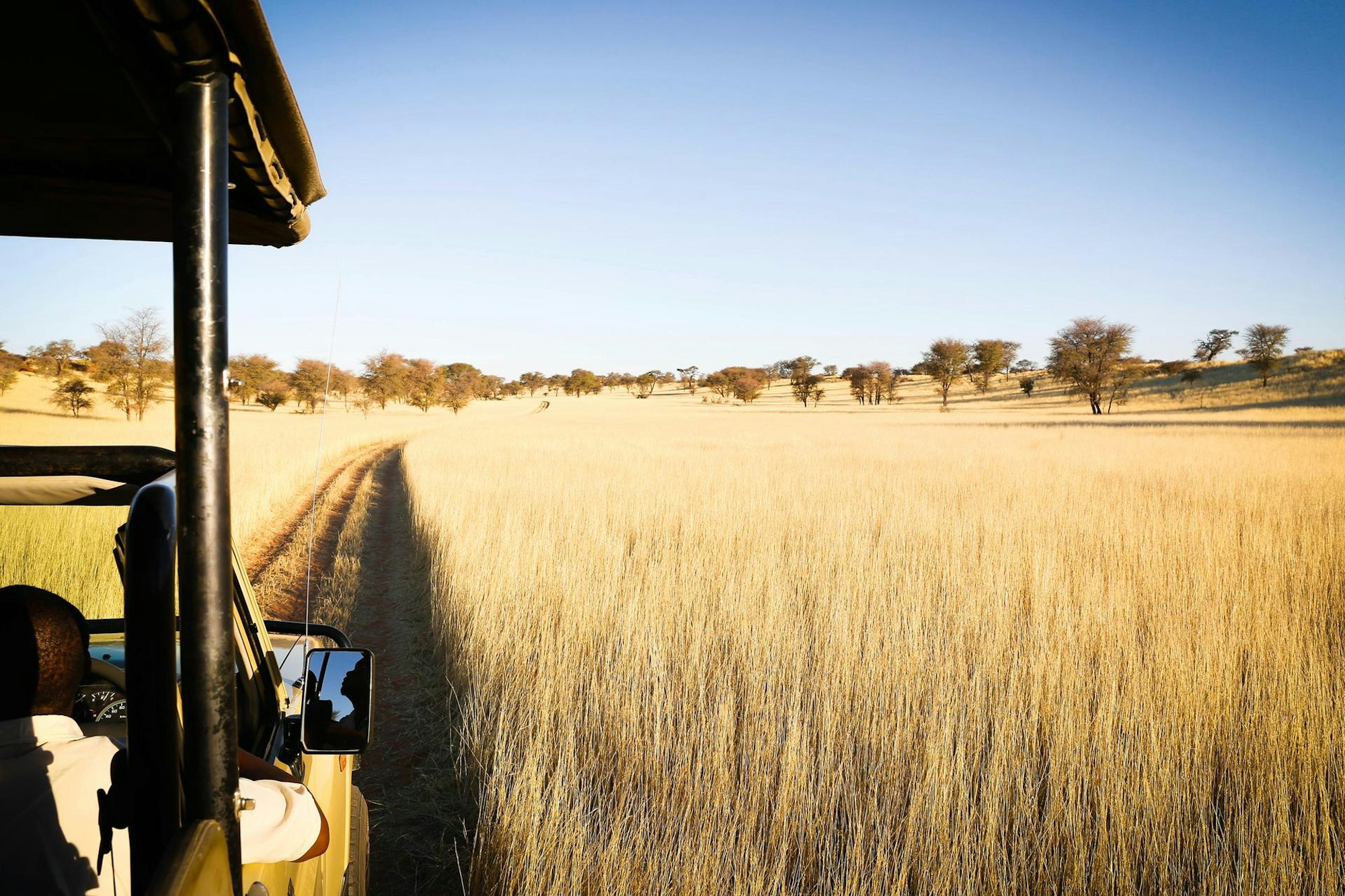 Safari Namibia Fernreise Corona dpa