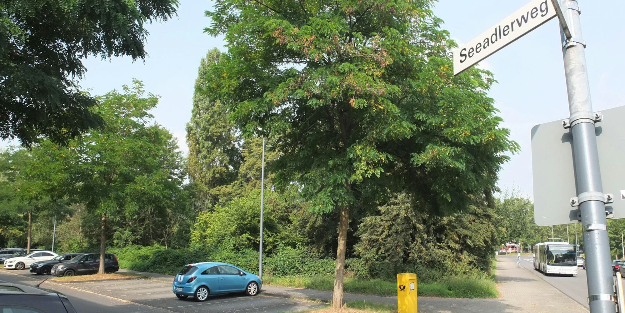 roes-seeadlerweg-002