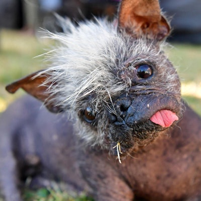 Mr Happy Face 260622