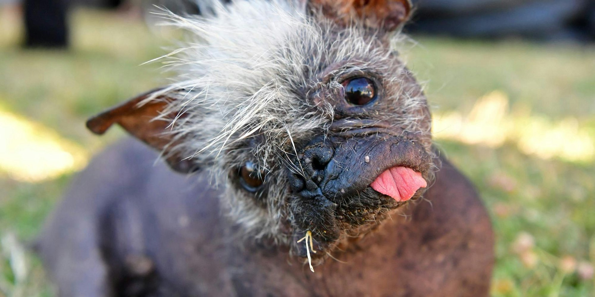 Mr Happy Face 260622