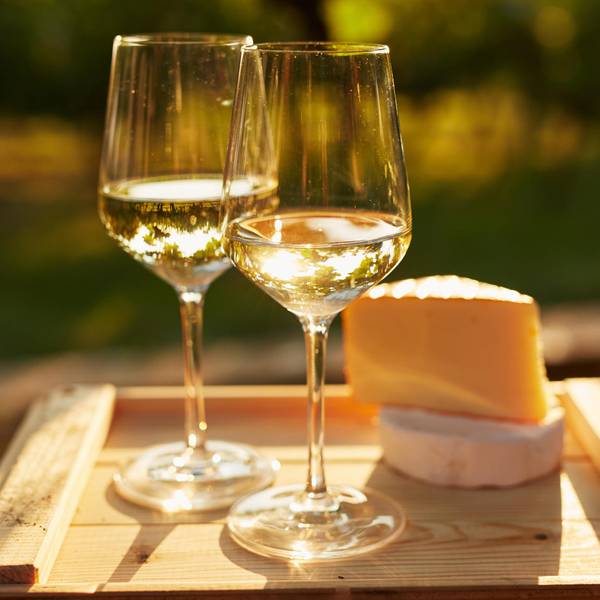 weißwein mit käse alpines weinvergnügen