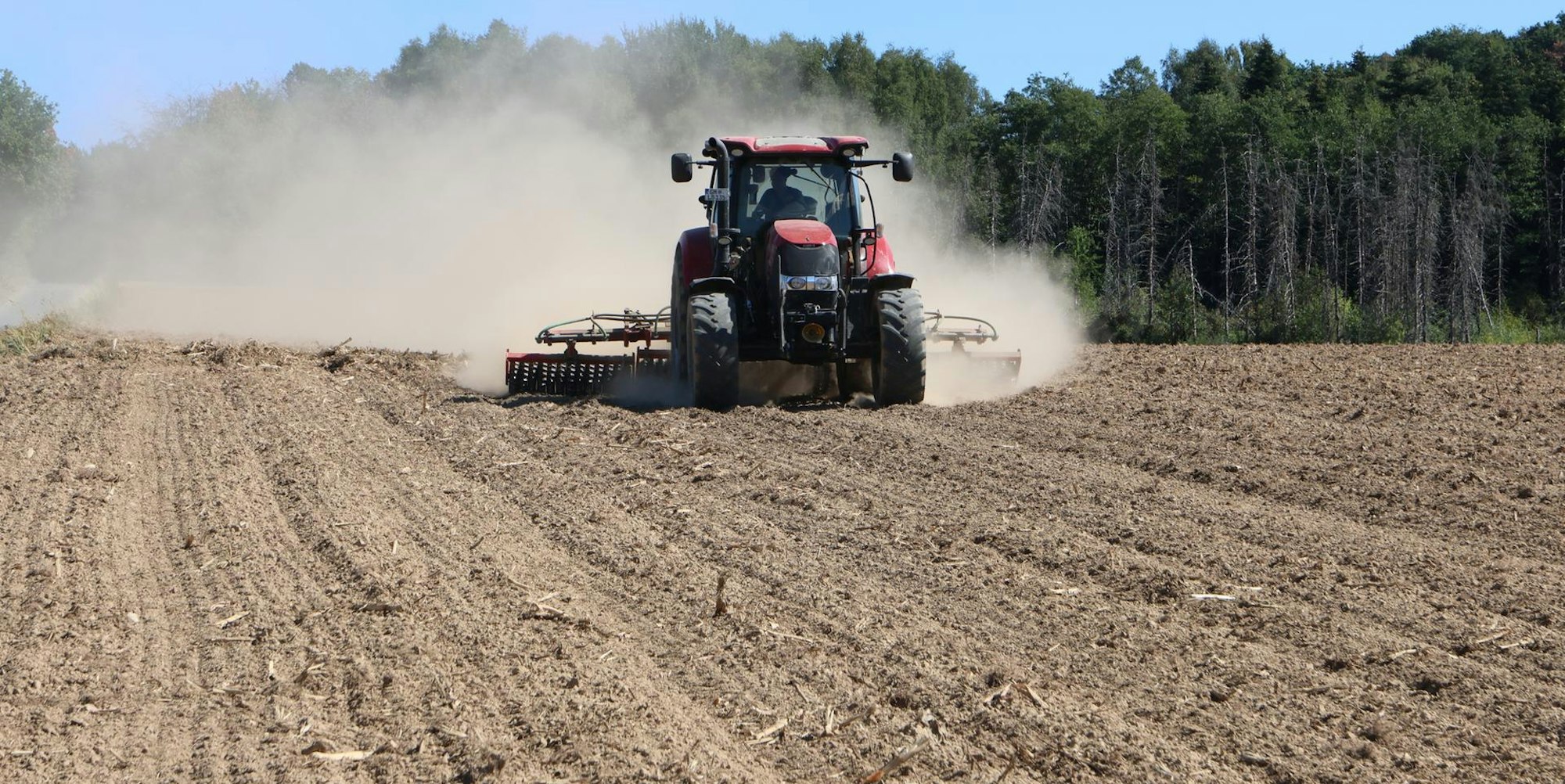 Schmelzer_Trockenheit_Acker