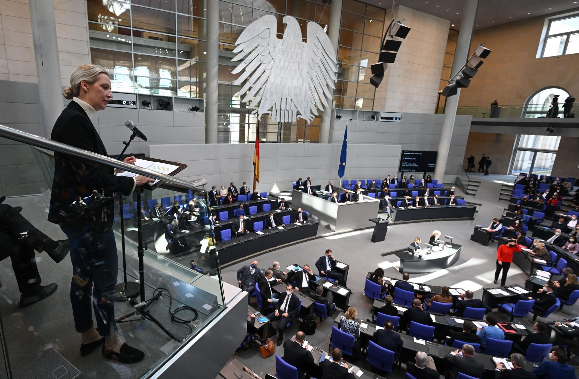 Alice Weidel Bundestag