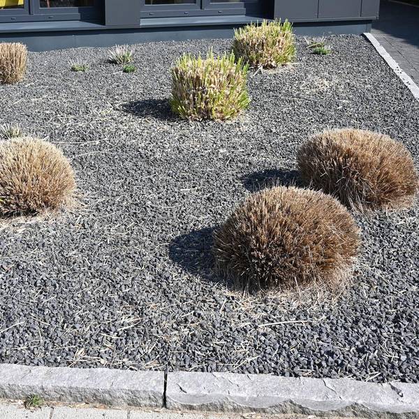 Schottergarten