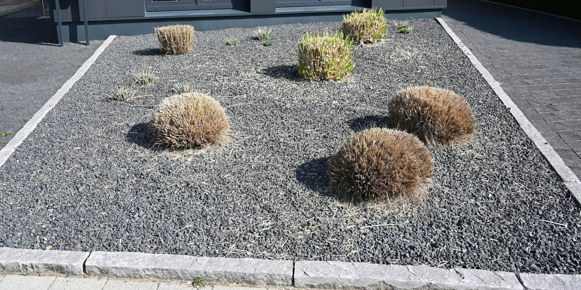 Schottergarten