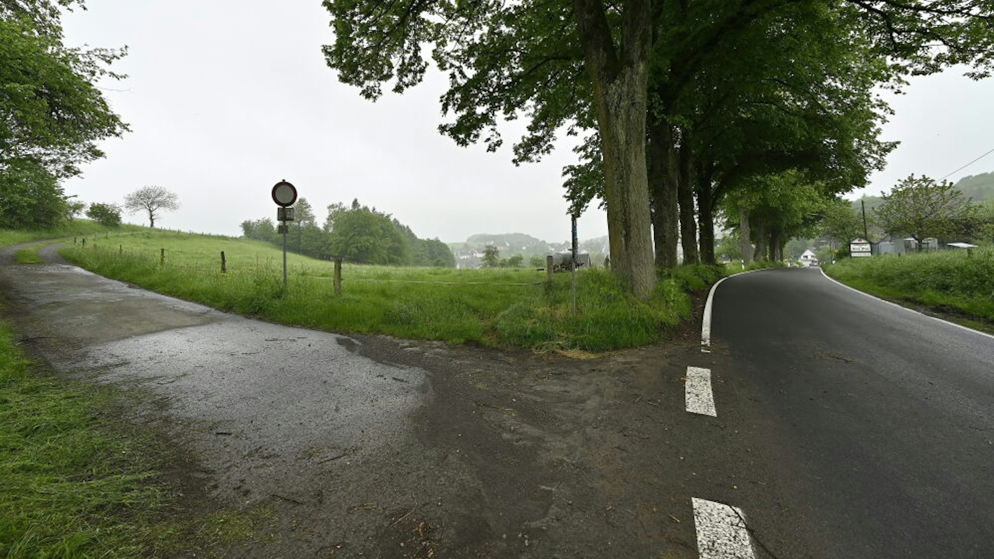 Das Bild zeigt den Standort des neuen Gerätehauses der Feuerwehr Kürten-Olpe. Im Bild ist die Landstraße mit den Alleebäumen zu erkennen.
