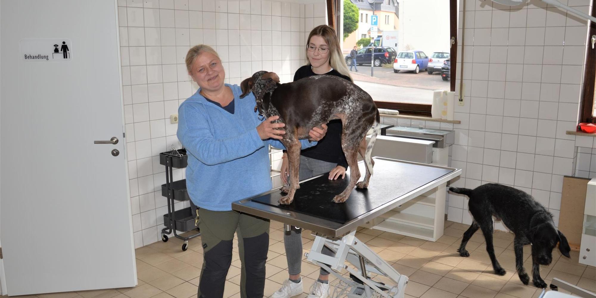 Neuer Inhalt