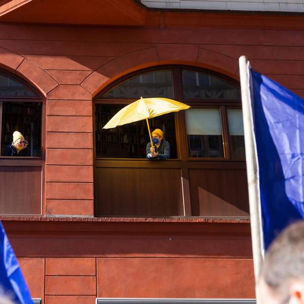 RDemo am Fenster
