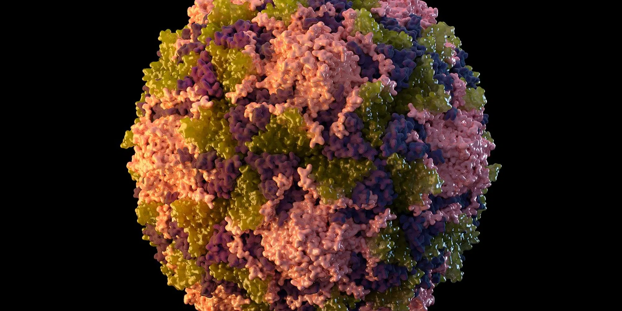 Polio USA 220722