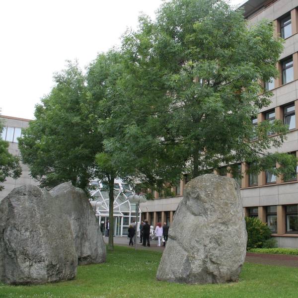 Rathaus Bergheim