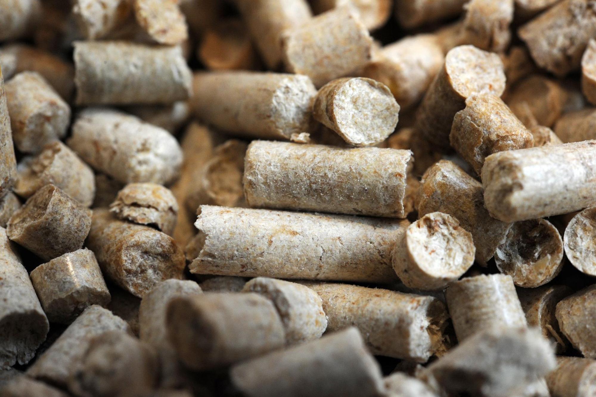Grilltrends 2019 Holz Pellets zum heizen