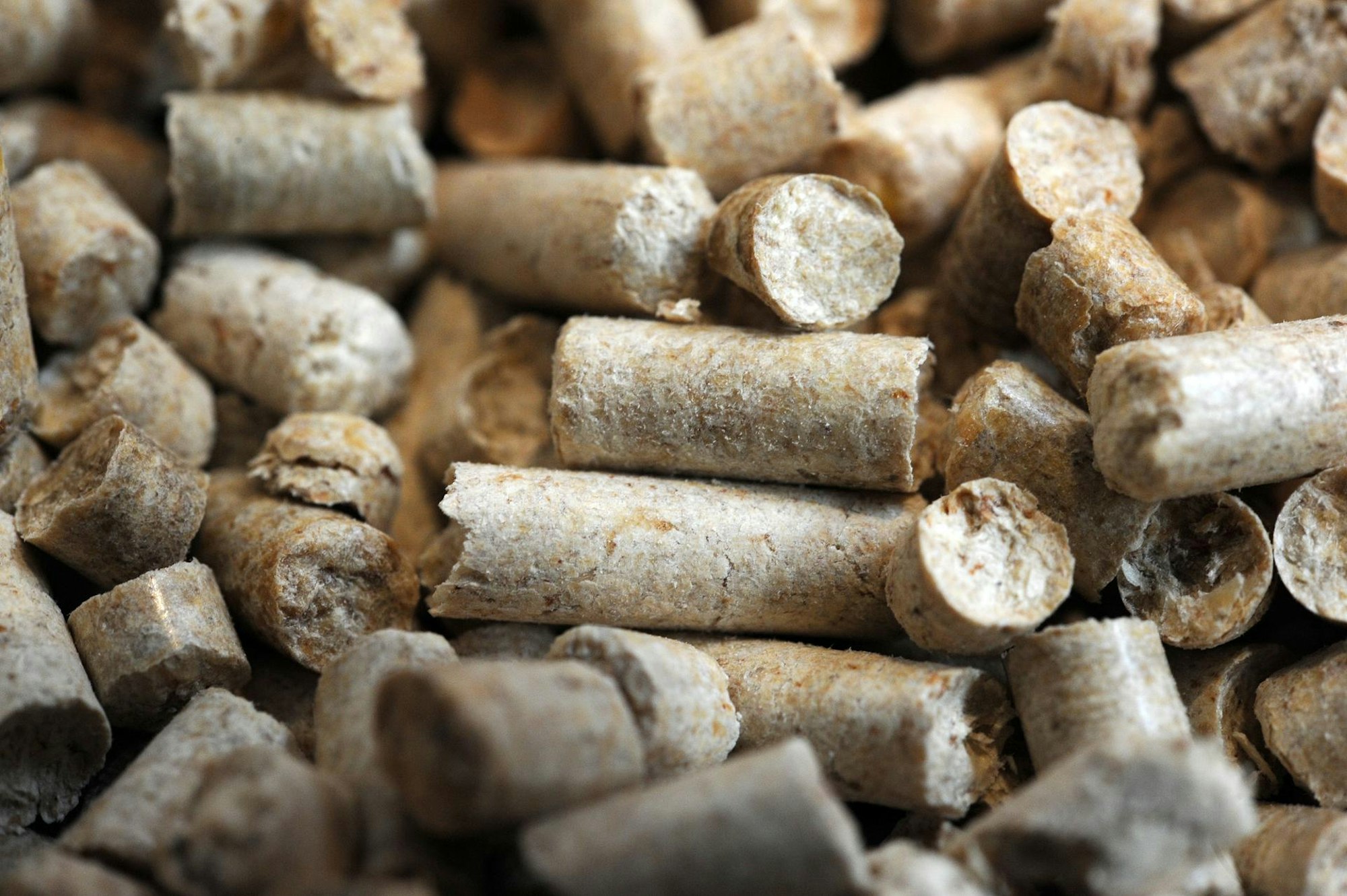 Grilltrends 2019 Holz Pellets zum heizen