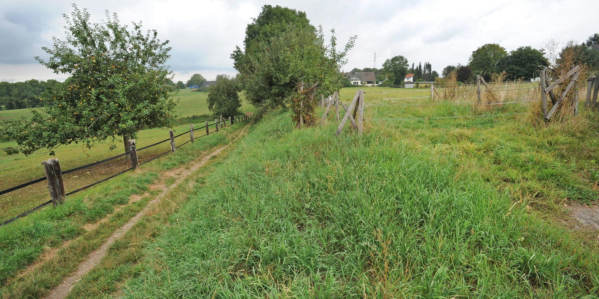 le-klimaschutzsiedlung_(2)