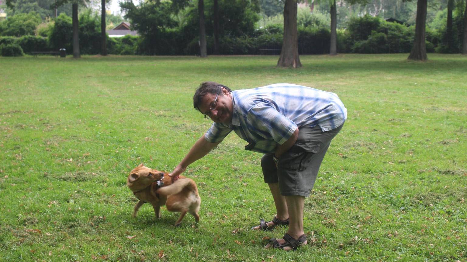 hundefreilauf in nippes