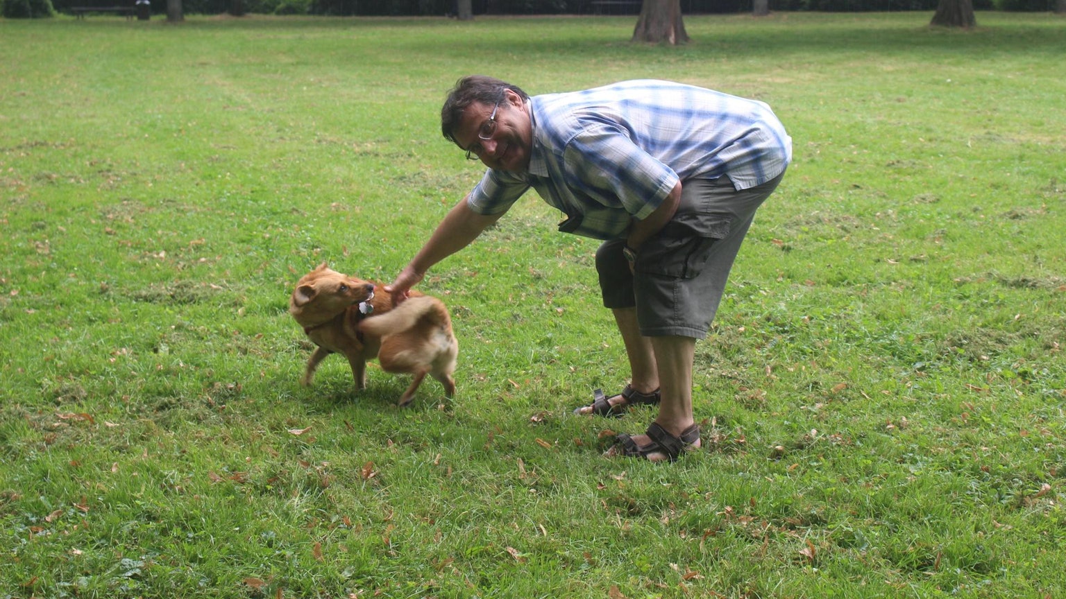 hundefreilauf in nippes