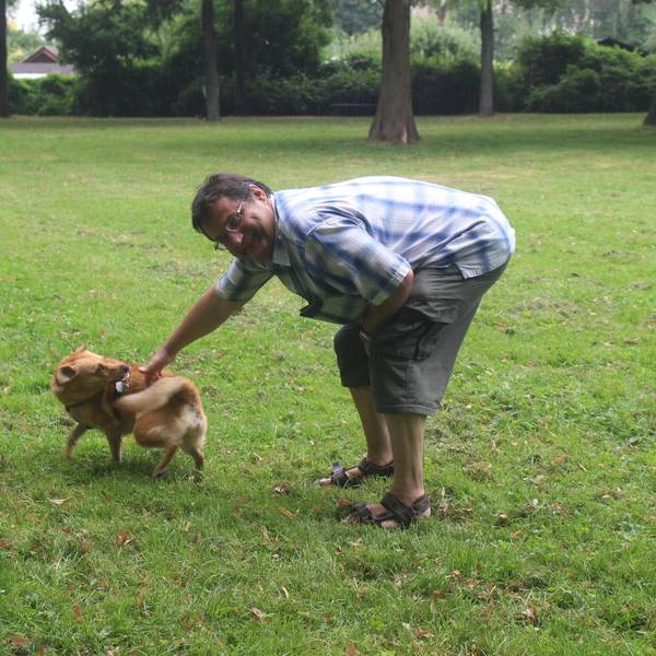 hundefreilauf in nippes