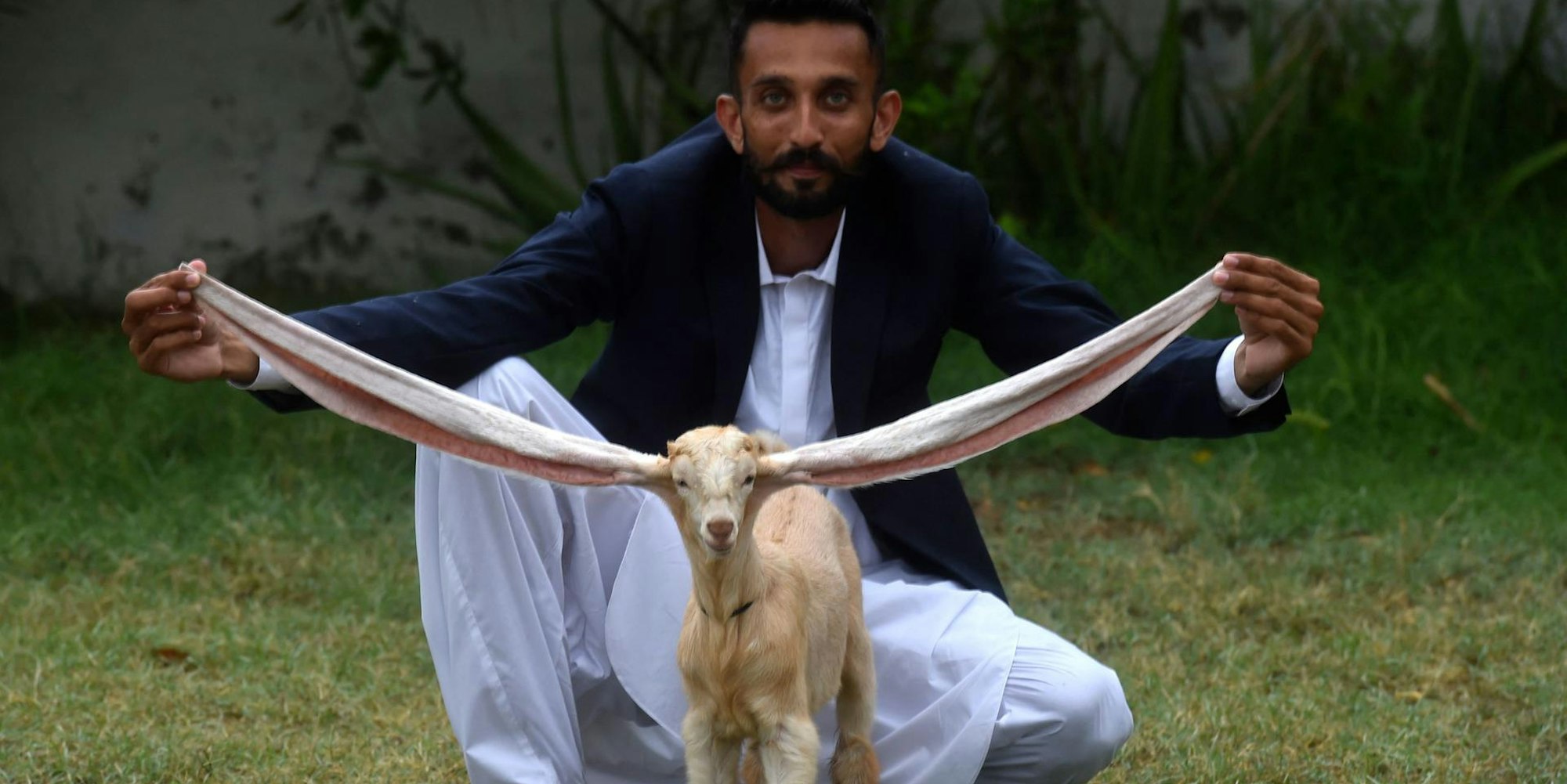 Ziege Pakistan afp 070722