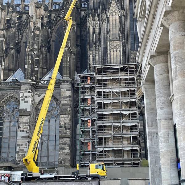 Dom Monitoring