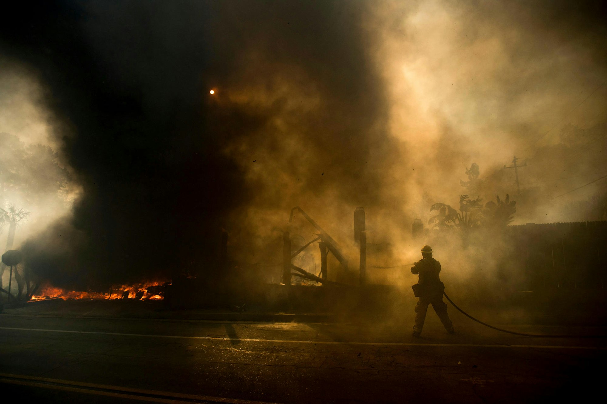 Buschfeuer (2)