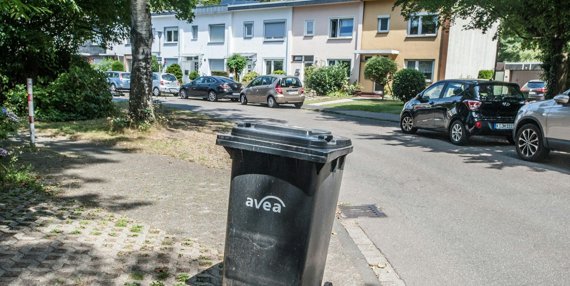 leverkusen-muelltonnen--ALF_9755