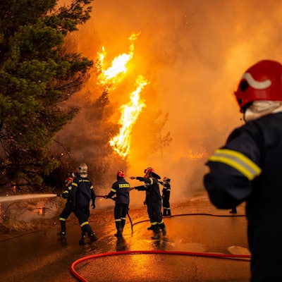 Waldbrände Griechenland3