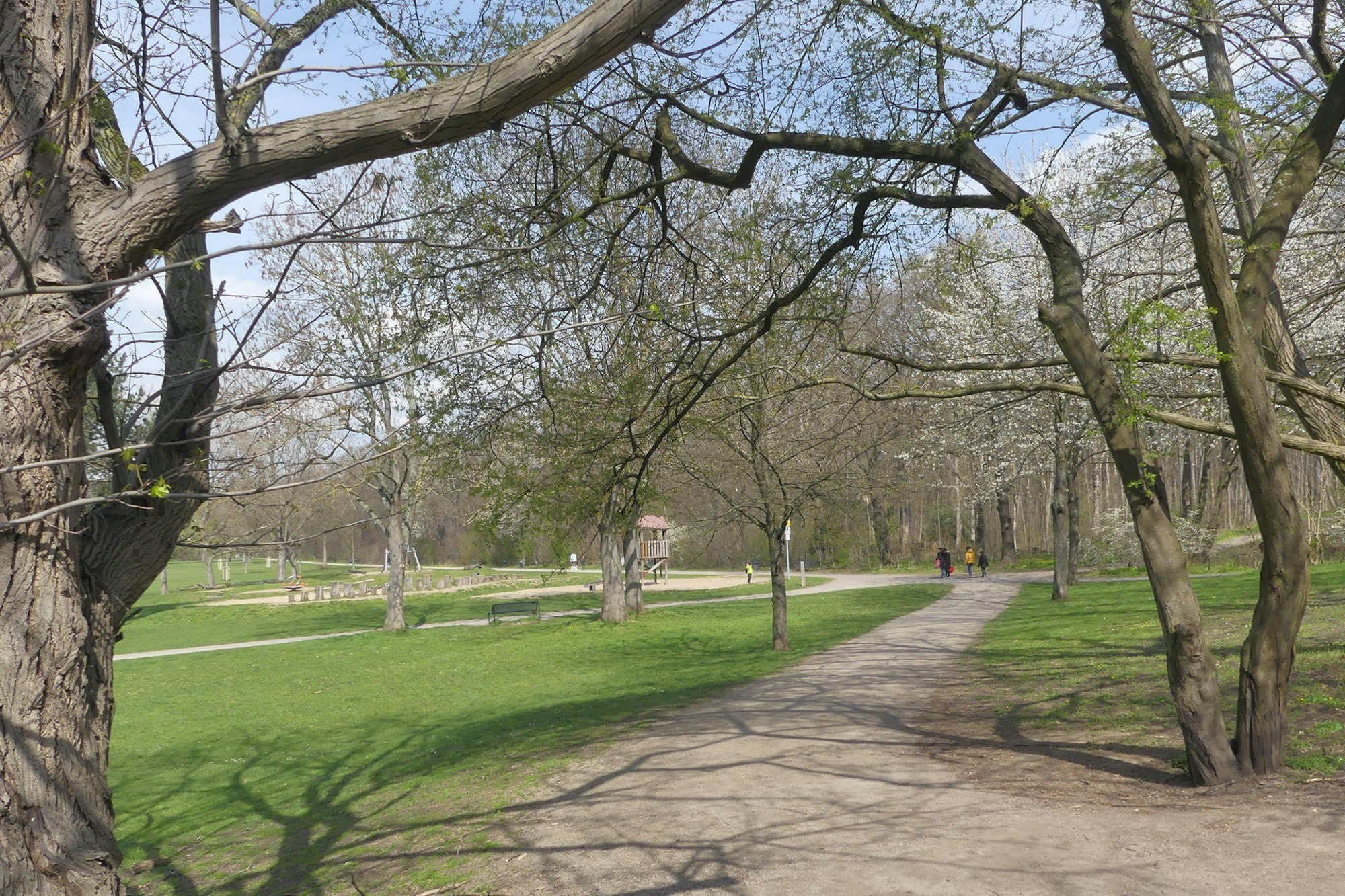 roes-gruenguertel-004