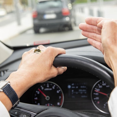 Eine Wespe sitzt auf dem Handgelenk eines Autofahrers