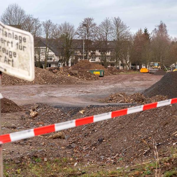 Neuer Inhalt
