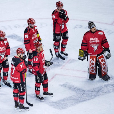 Kölner Haie gegen mannheim
