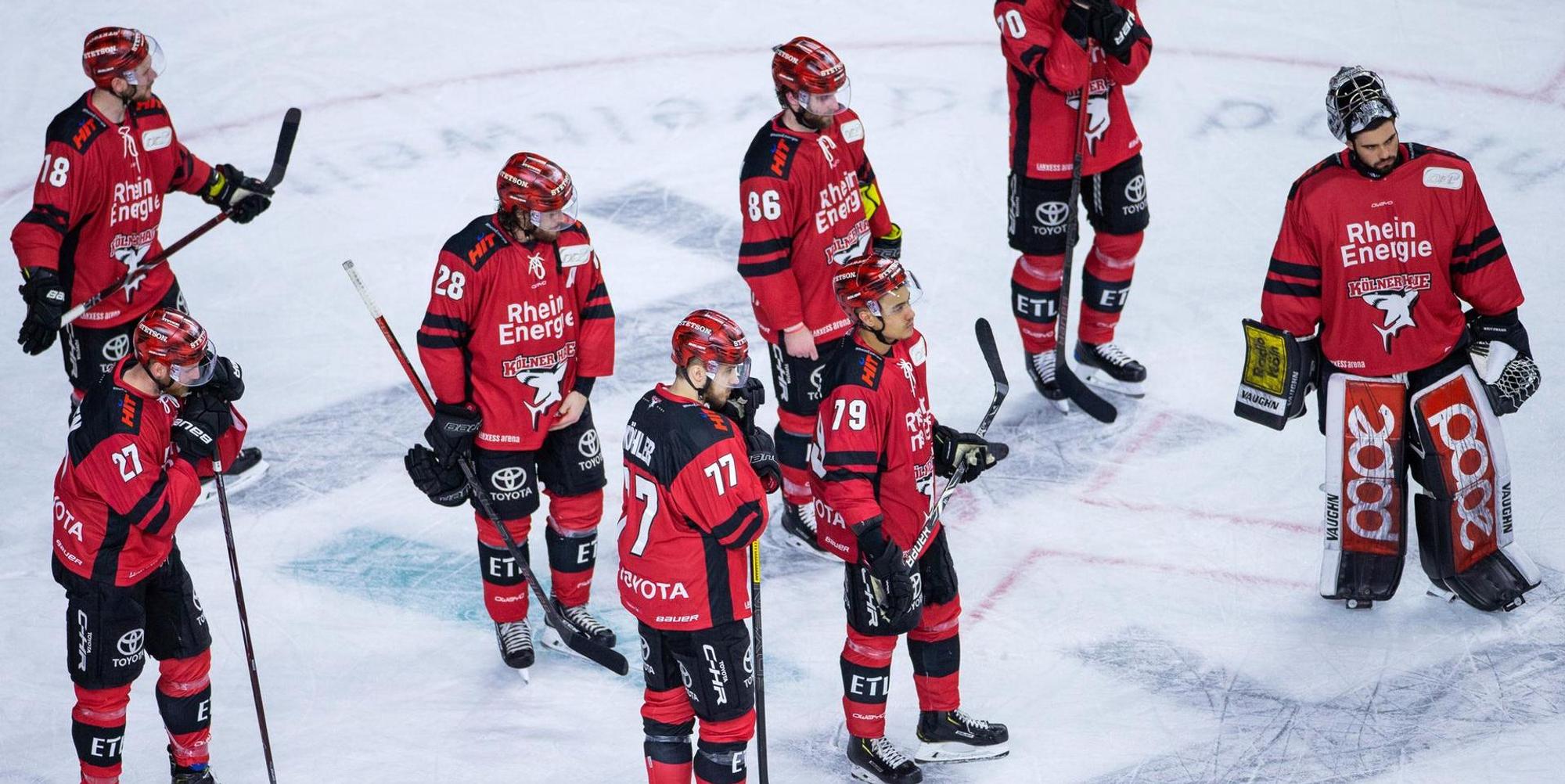 Kölner Haie gegen mannheim