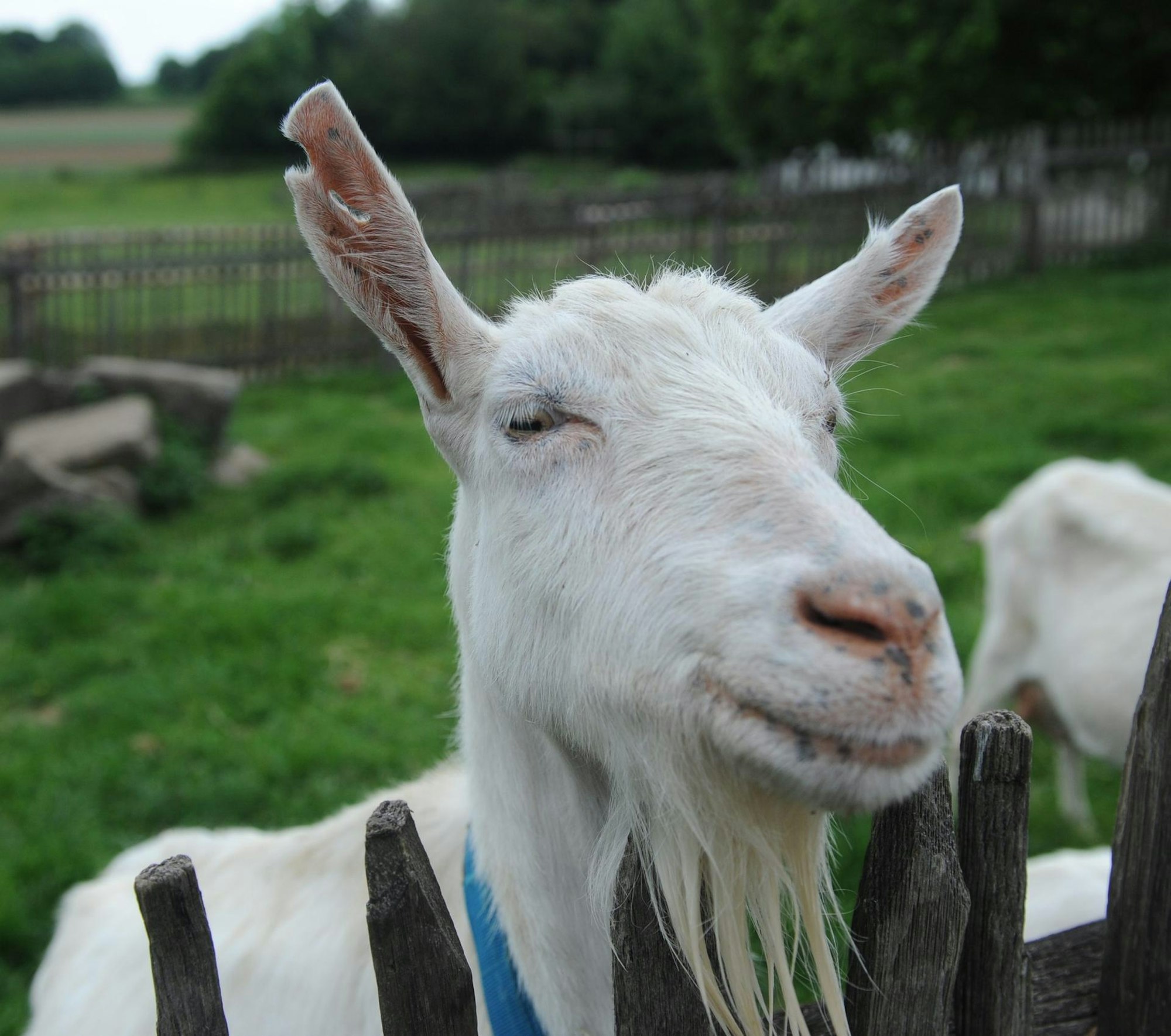 Freilichtmuseum Lindlar3