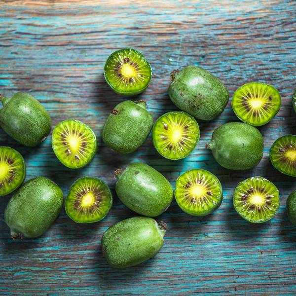 mini kiwi auf tisch