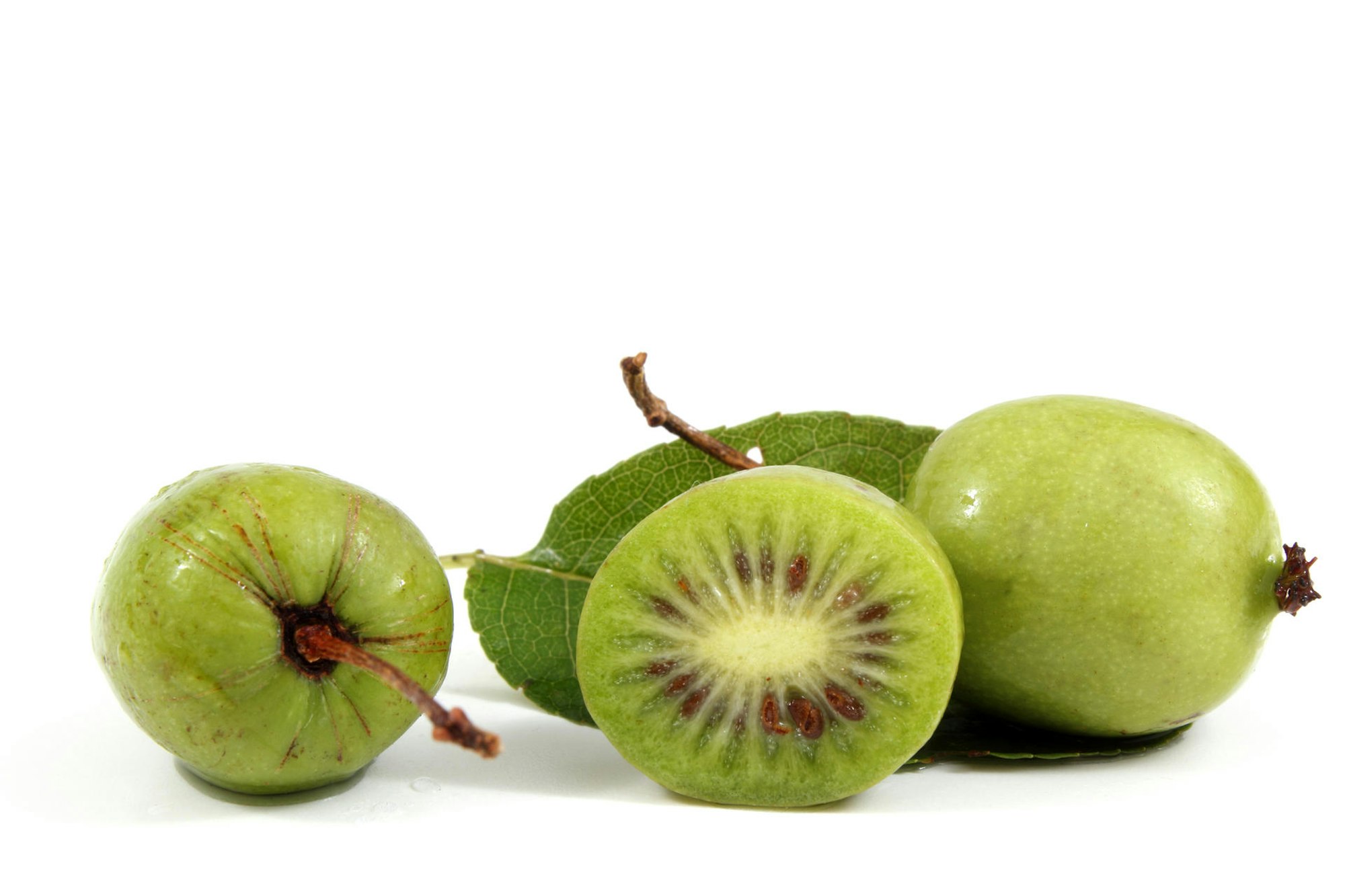 mini kiwi aufgeschnitten