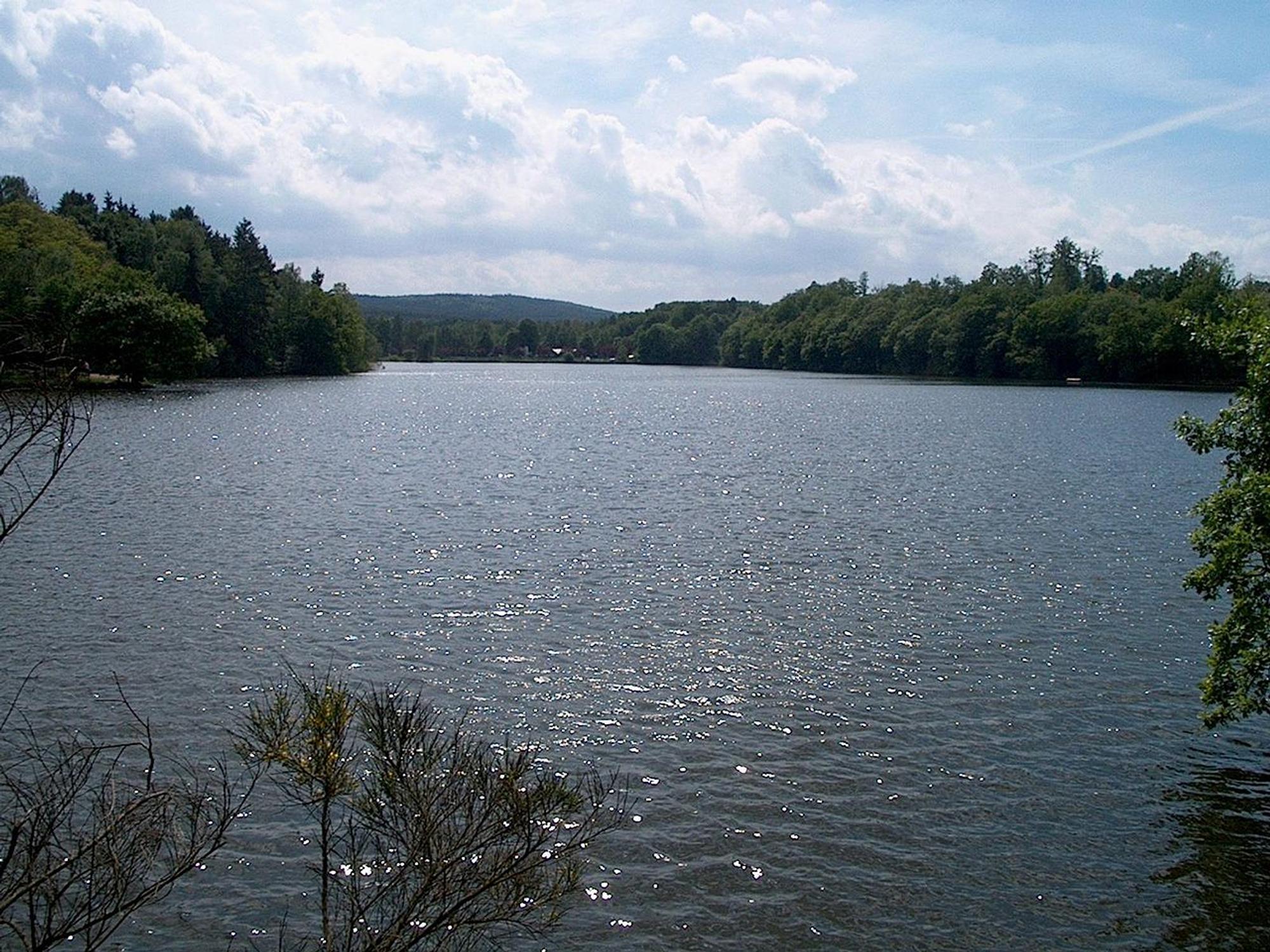 Steinbachtalsperre_Wiki_Putput_cc3_data